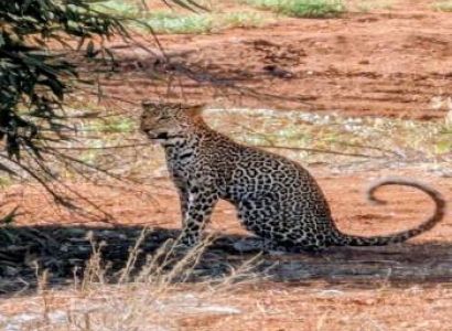 2 Days Safari Tsavo East