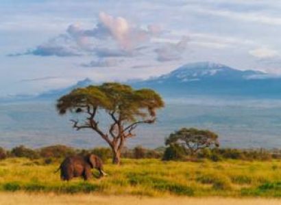 Classic Tanzania Wildlife Safari