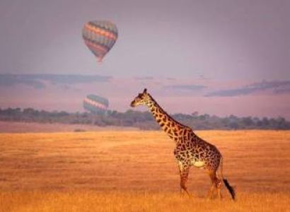 Tanzania Migration Explorer