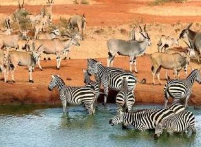 Kenya Coast Holiday Collection - Diani Beach & Tsavo Safari