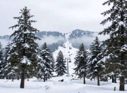 Srinagar & Gulmarg 4D/3N Standard Travel Package