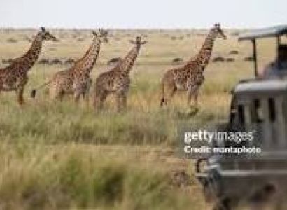 3-Day Masai Mara Classic Wildlife Safari Adventure