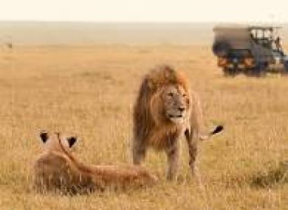 Arusha 5D/4N Budget Travel Package