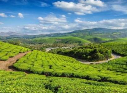8 Days Budget Kochi & Kovalam & Thekkady & Trivandrum & Munnar & Mararikulam Tour Package