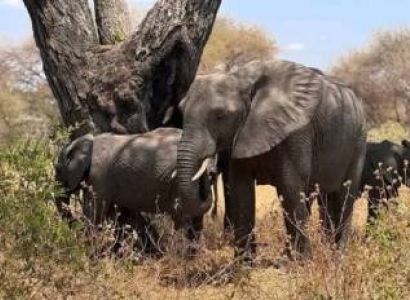 3 Days Arusha Luxury Tour Package