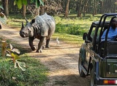 Standard Guwahati & Jorhat & Kaziranga & Majuli Tour Package - 6 Days