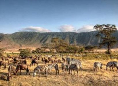 6 Days Luxury Tour Ngorongoro & Arusha