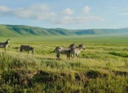 3 Days Manyara & Arusha Budget Holiday