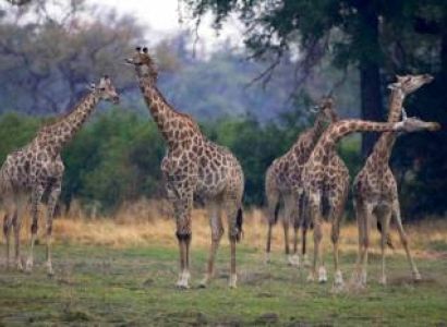 Ngorongoro & Arusha Tour Package - 3 Days Budget