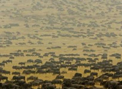 5 Days Budget Manyara & Arusha Tour Package