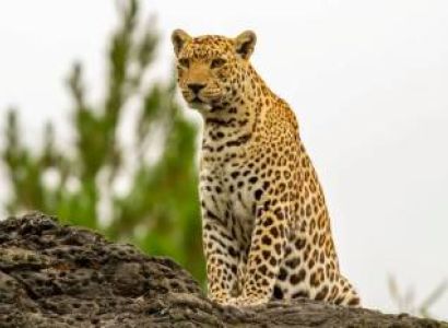 10 Days Budget Zanzibar & Arusha Tour Package