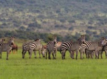 18 Days Budget Tour Arusha & Kasane & Livingstone & Chobe