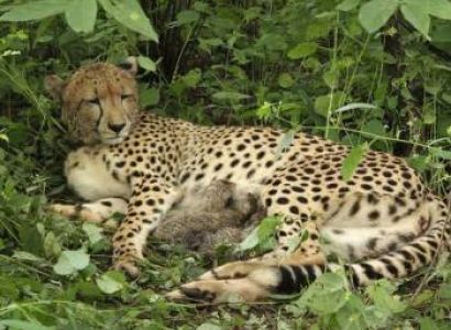 3 Days Budget Morena Tour Package