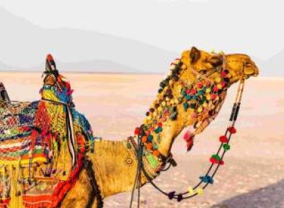 Spiritual - Culture Tour 4 Nights - 5 Days