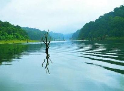 6 Days Thekkady & Munnar & Alappuzha & Mararikulam Budget Holiday