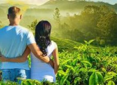 Munnar & Alappuzha & Mararikulam 6D/5N Budget Travel Package