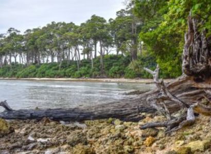 5 Days Standard Port Blair & Havelock & Neil Island Tour Package