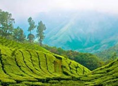 Munnar-Thekkady-Kumarkom-Cochin (Ktdc Package)