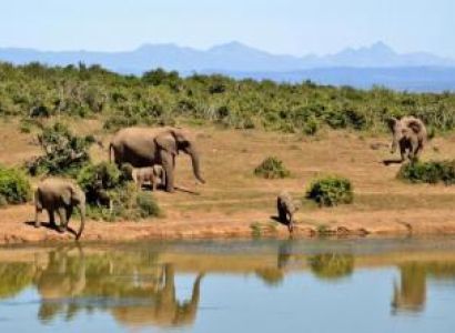 Exclusive 7 Days African Safari Vacations Package