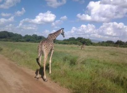 Best of Kenya Authentic Adventure Tours Package