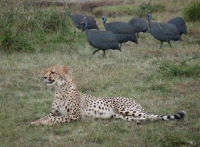 Kenya Adventure Safaris Package