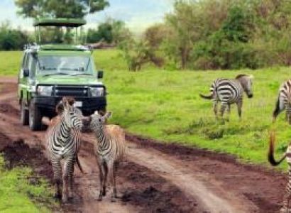 Exclusive African Safari Vacations Package