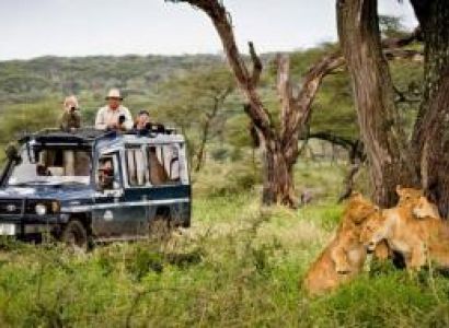 Kenya Lodge & Adventure Safari Tours Package