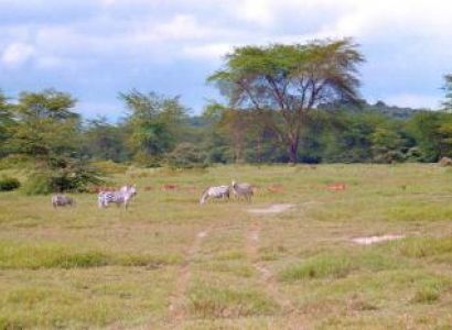 Kenya Budget Adventure Holidays Package