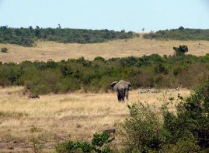 Kenya Explorer Tours & Safaris Package