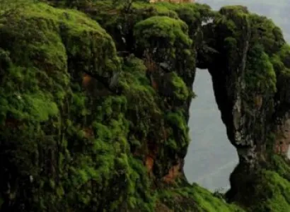 1n 2d Beautiful Mahableshwar Package Start from July Tour