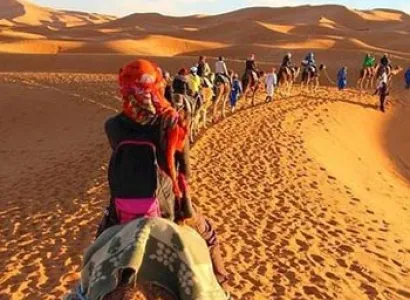 Desert Circuit Package