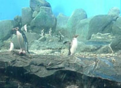 Langkawi Getaway Tour