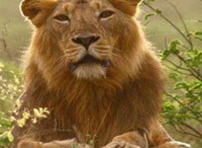 Gujarat Silvasa Tour