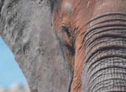 3 Day - Etosha National Park Tour