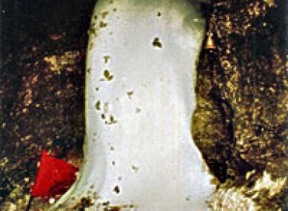 Kashmir - Amarnath Tour