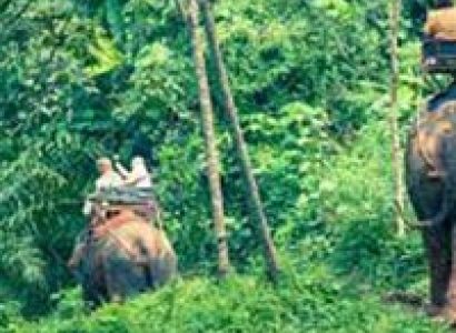 Andaman Honeymoon Package