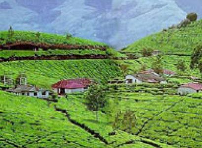 Kerala Honeymoon Package