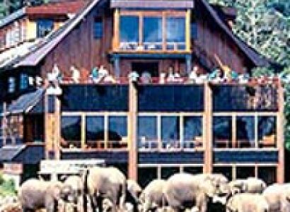 Kenya Cultural & Wildlife Safari Tour