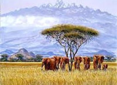 Mount Kenya Climbing Sirimon Out Narumoru Route Tour