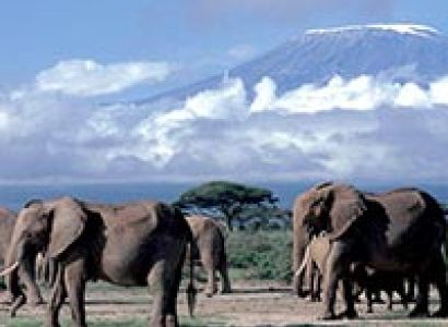 Mount Kilimanjaro Climb Tour