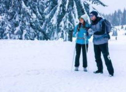 Kashmir Honeymoon Tour for Couple