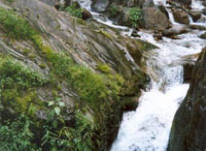 Hill Station Cum Pilgrimage Tour