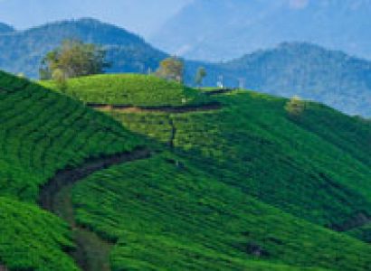 Kerala Tour Package - 5D/4N