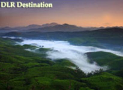 Kerala Honeymoon Tour Package - Budget Category