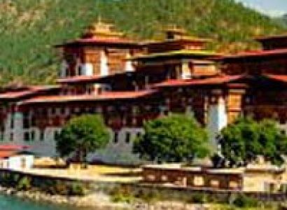 Birding Expedition : Western Bhutan Tour