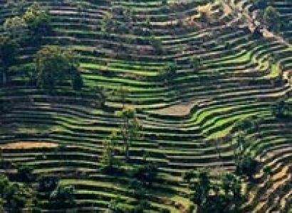 Himachal with Amritsar Tour (10 days & 9 nights)