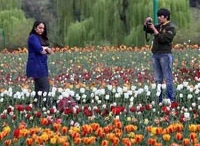 Wonderful Kashmir Unforgettable Honeymoon (6 days & 5 nights) Tour