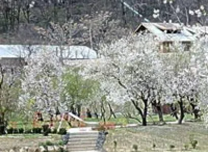 Srinagar tour package - Fly N Stay (6/D & 5/N)