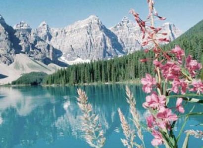 Mountain And Peak Glacier Tour