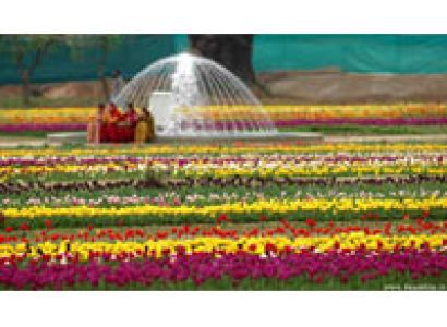 Super Deluxe Five Star Package(srinagar)